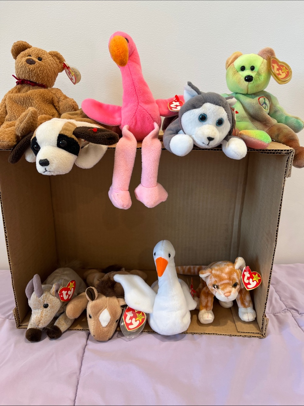 A Box of 9 TY Beanie Babies